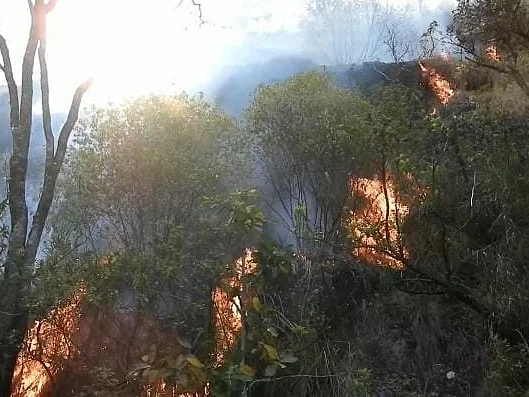 கொடைக்கானல் பெருமாள்மலையில் திடீர் தீ விபத்து! - தீயை அணைக்க போராட்டம்