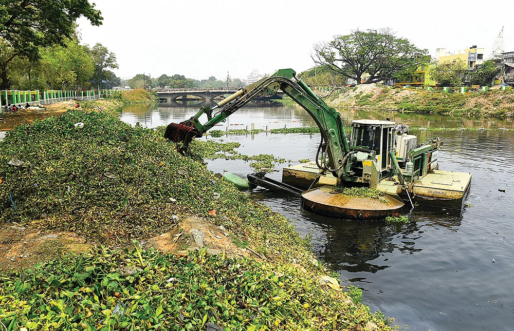 கூவம் ஆறு