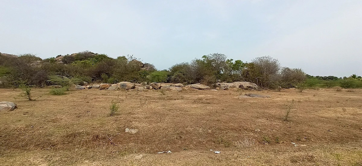 சமவெளி பகுதி