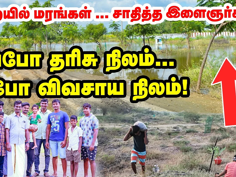 ``எப்படி இருந்த இடத்தை இப்படி மாத்திட்டாங்க!" - பாறையில் மரம் வளர்த்து சாதித்த இளைஞர்கள்