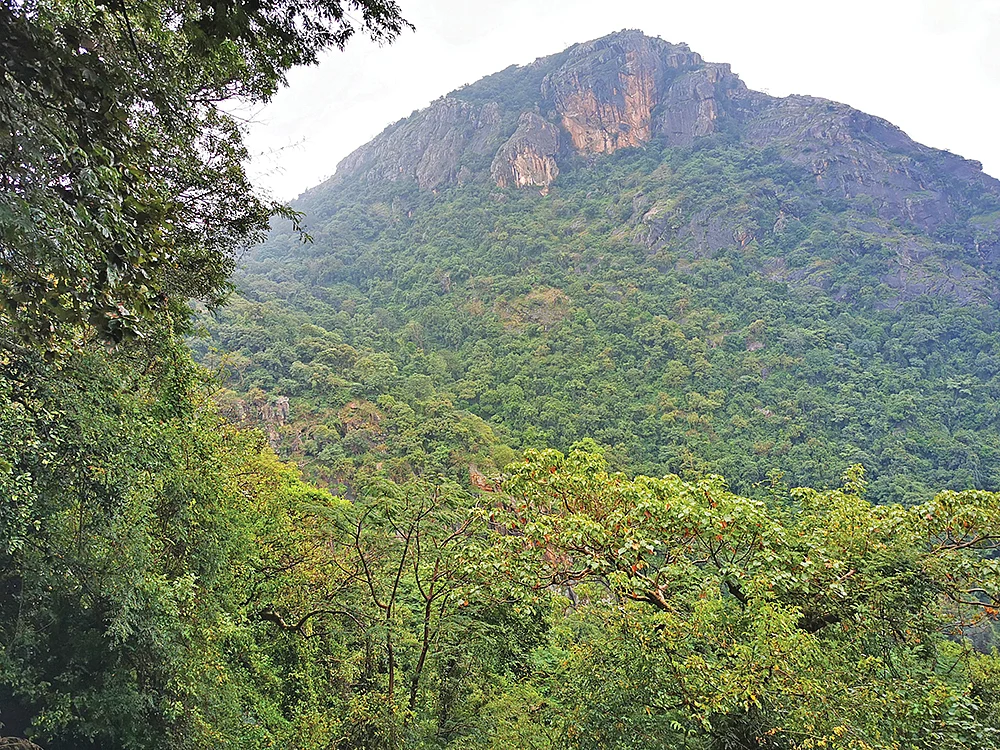 கொல்லிமலை