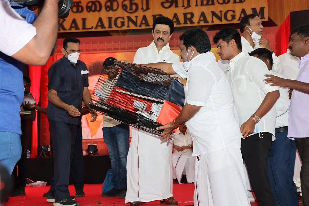 புறாக்களைப் பரிசளித்த தொண்டர்