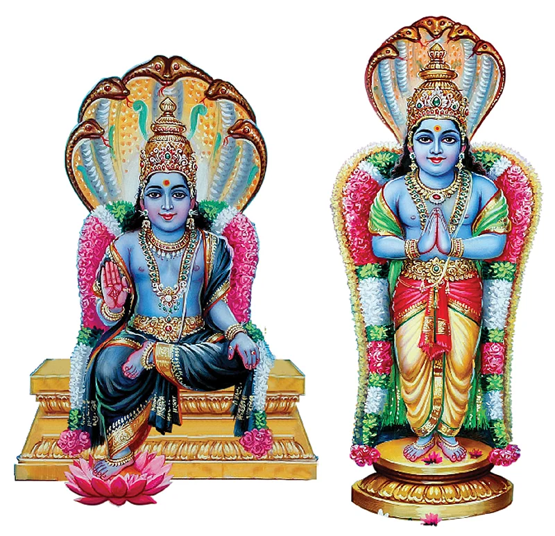 சாயா கிரகங்கள்...
அபூர்வ தகவல்கள்!