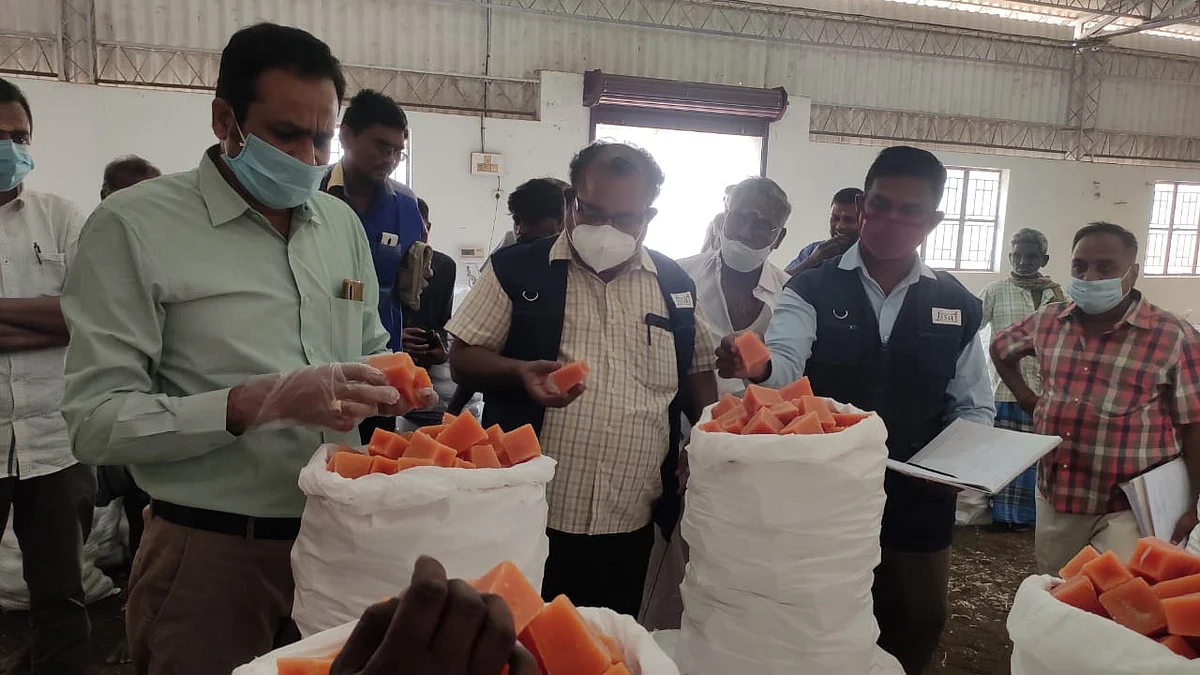 ஆய்வுசெய்யும் அதிகாரிகள்