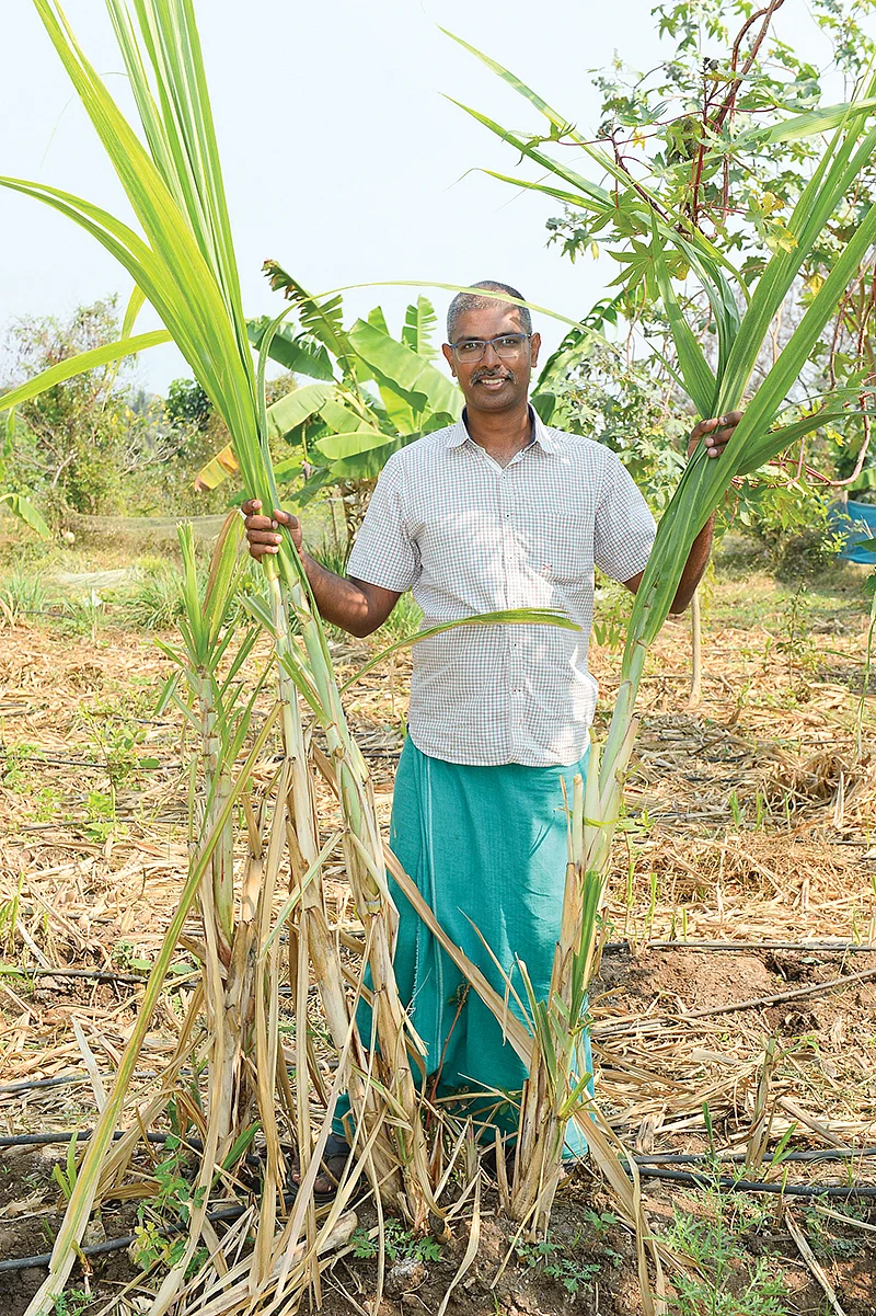 கரும்புடன் தணிகாசலமூர்த்தி