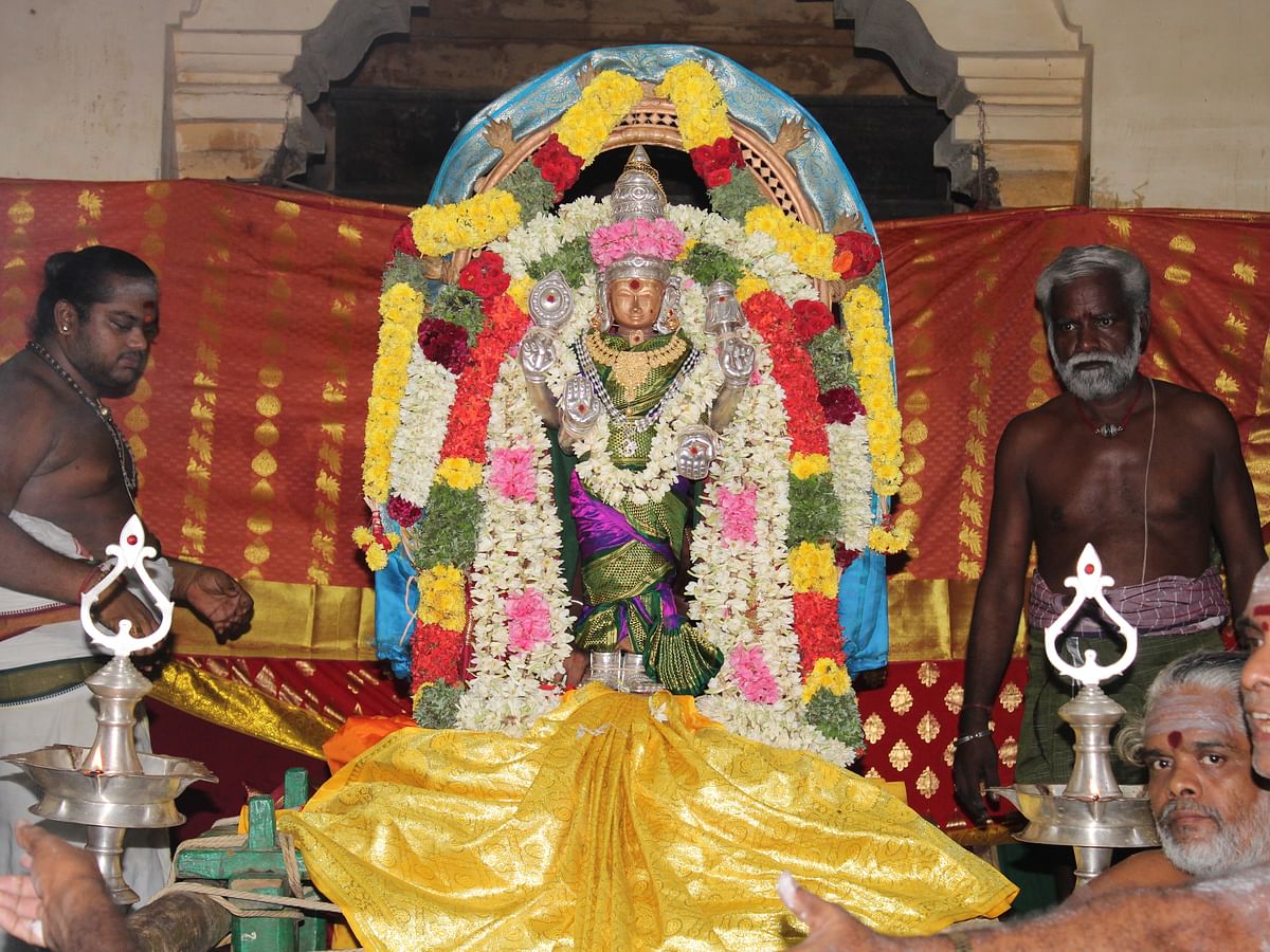 தீர்க்க ஆயுள் அருளும் திருக்கடையூர்... 25 ஆண்டுகளுக்குப்பின் கோலாகலக் கும்பாபிஷேகம்!     