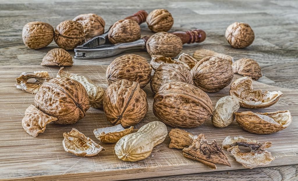 Walnut