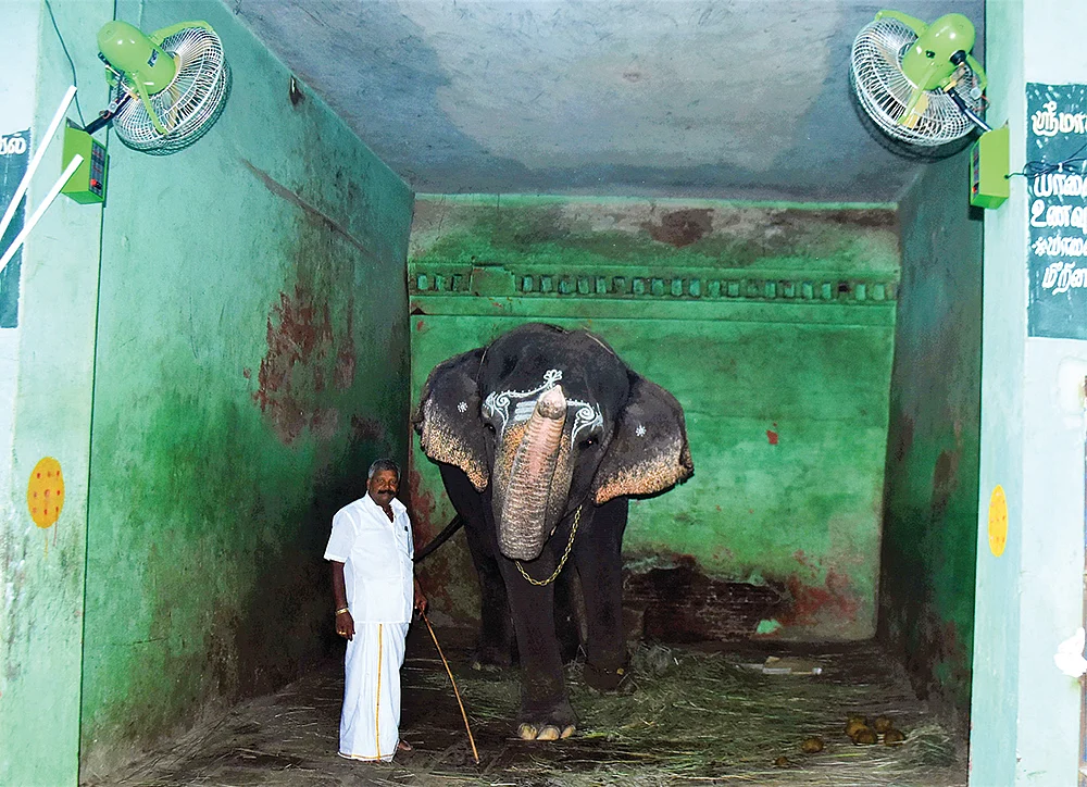 இன்பாக்ஸ்