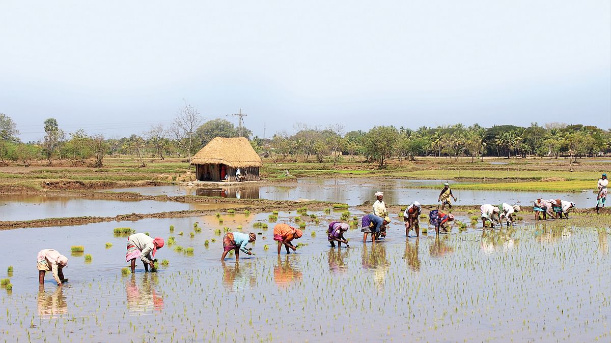 அரியலூர்