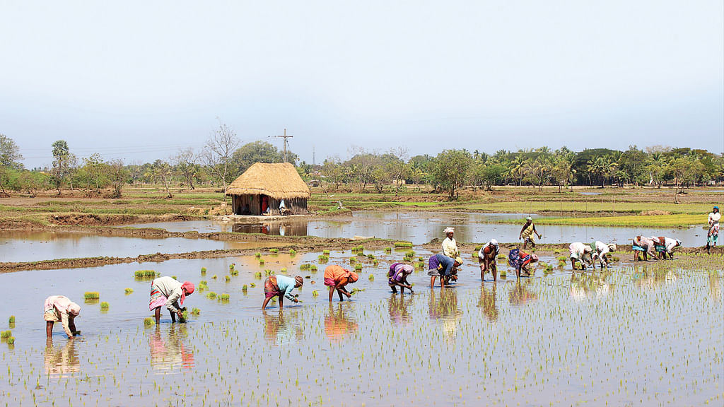 அரியலூர்