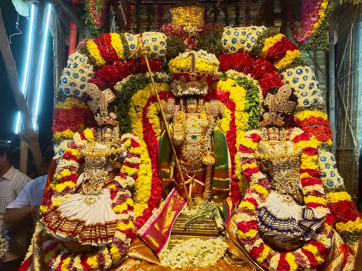 ஸ்ரீ பரிமளரங்கநாதர் தெப்போற்சவம்