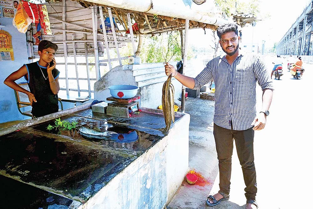 தமிழ்நாட்டில் ஒரு குட்டி கேரளா! - பட்ஜெட் பார்ட்டிகளின் ஆலப்புழா!