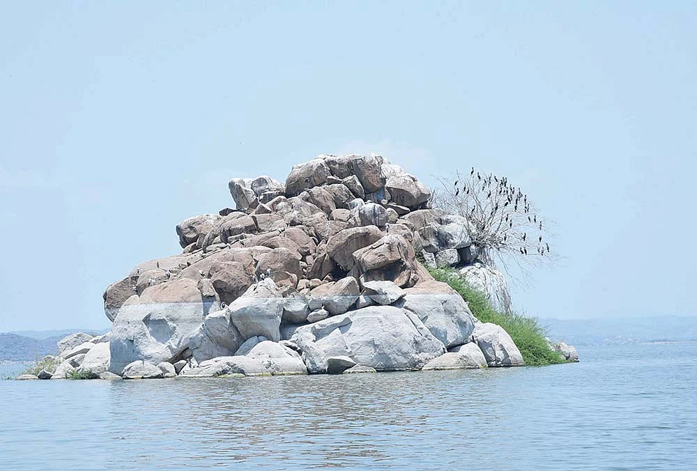 தமிழ்நாட்டில் ஒரு குட்டி கேரளா! - பட்ஜெட் பார்ட்டிகளின் ஆலப்புழா!