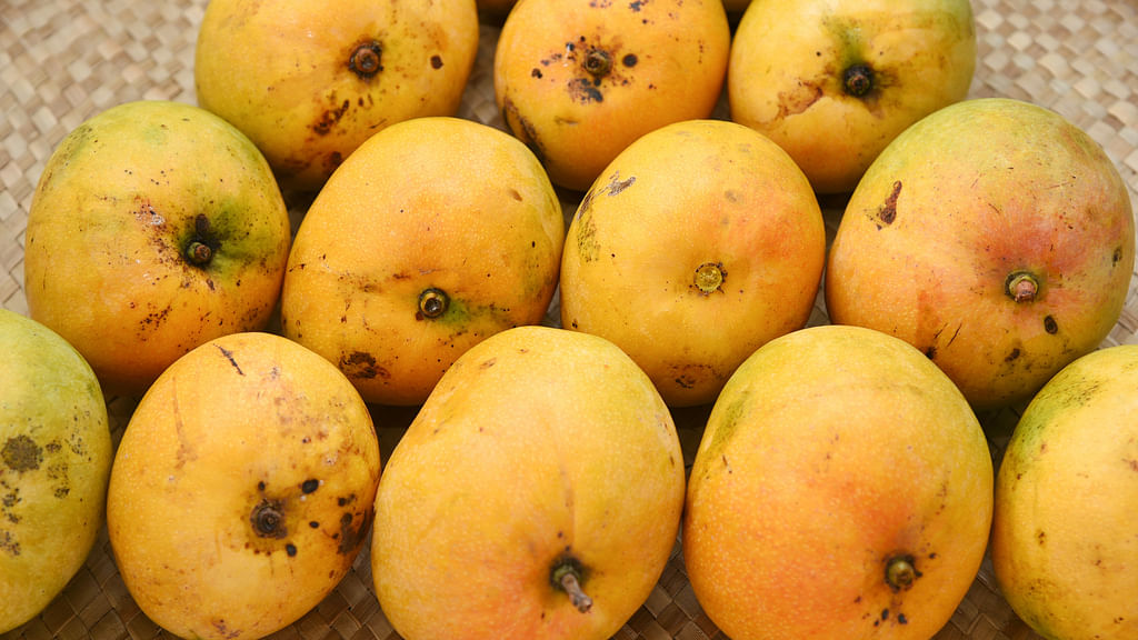 மாம்பழம்
