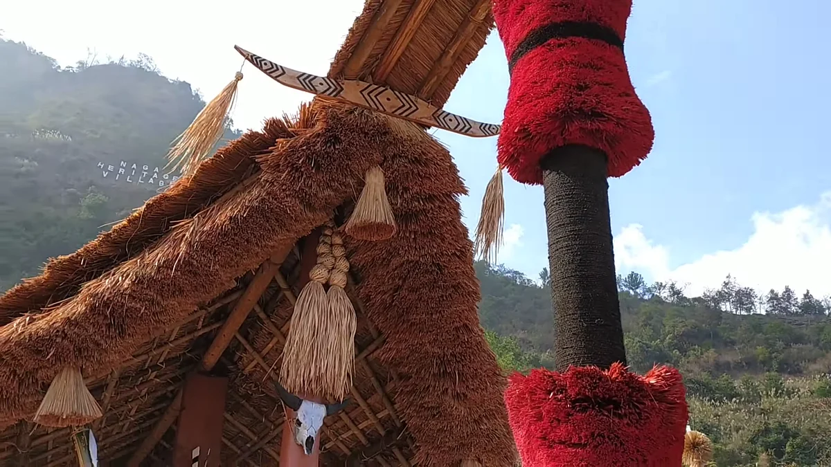 கிசாமா
