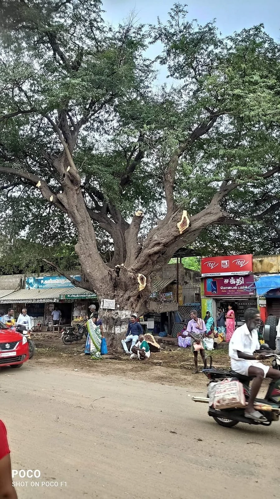 மரம்