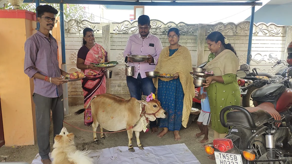 குட்டை மாட்டுக்கு வளைகாப்பு