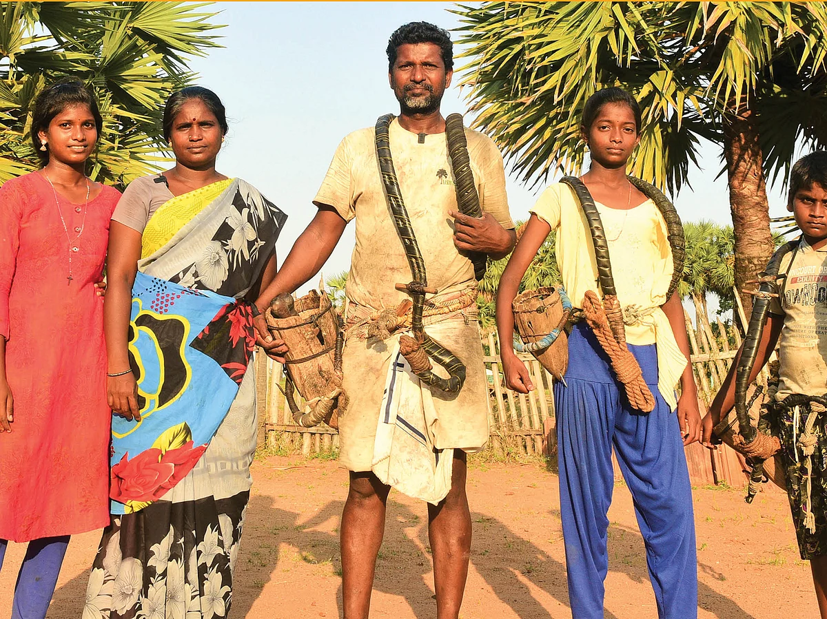 “பனையால் இணைவோம்!”