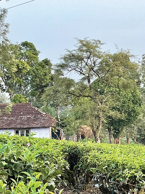 இன்பாக்ஸ்