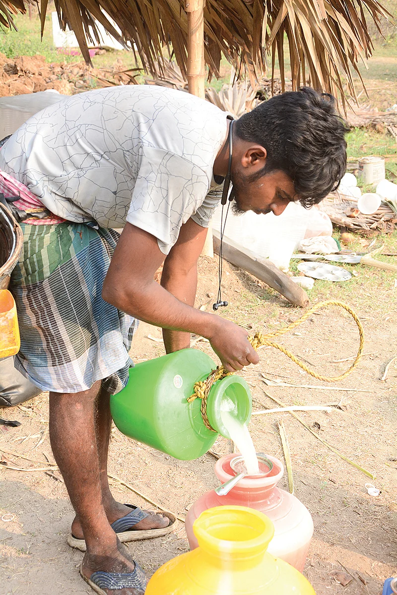 பதநீர் வடிகட்டுதல்