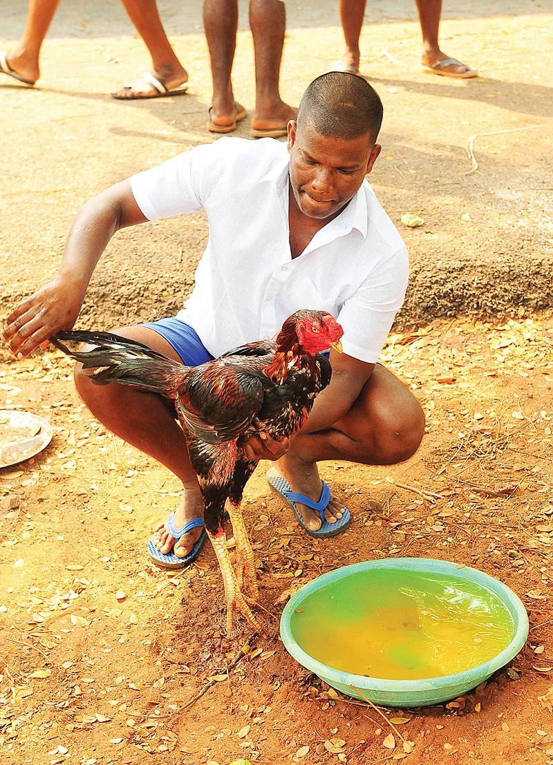 விவசாய வேலைகளில் சிறைவாசிகள்