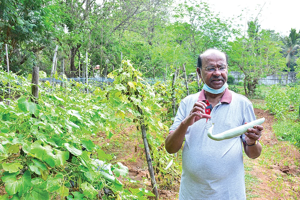 தோட்டத்தில் மருத்துவர் ராமதாஸ்