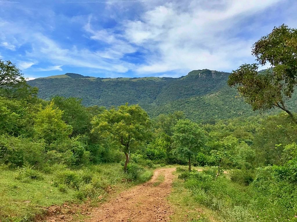 BR Hills