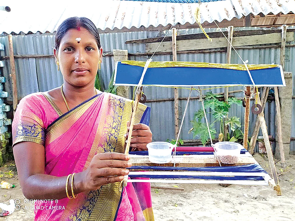 ‘‘ஆண்டு முழுக்க அறுவடைதான்!’’ - கடலில் விவசாயம் செய்யும் சுகந்தி