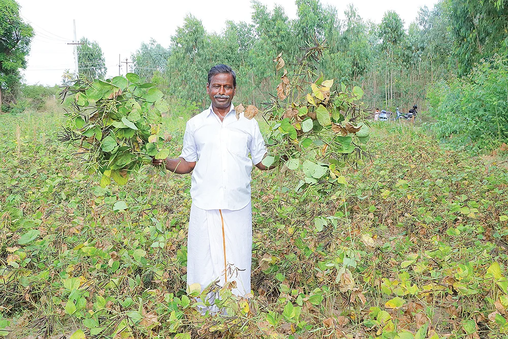 வயலில் ராஜேந்திரன்