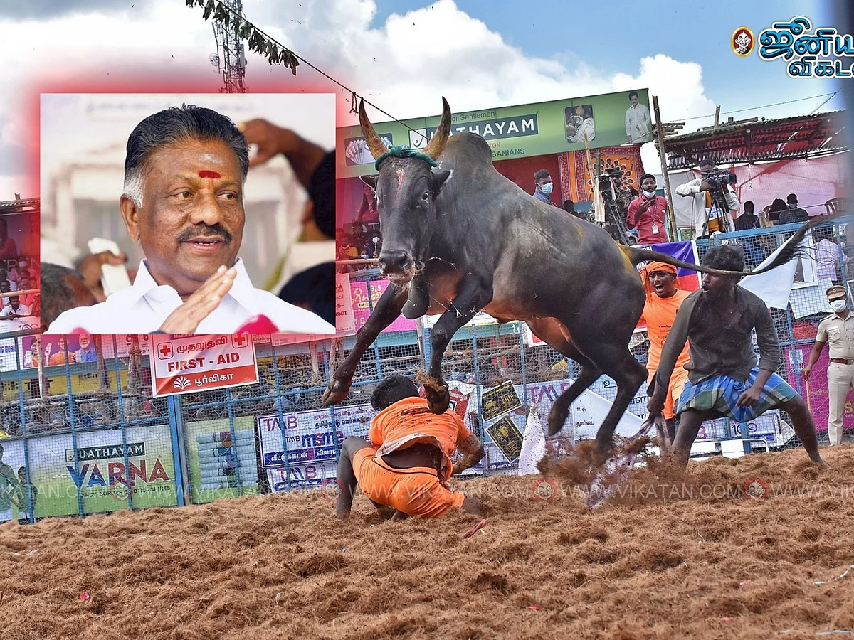 ``நான் இளங்காளையாக இருந்தபோது பல ஜல்லிக்கட்டு காளைகளை அடக்கியிருக்கிறேன்!" - சட்டப்பேரவையில் ஓபிஎஸ்