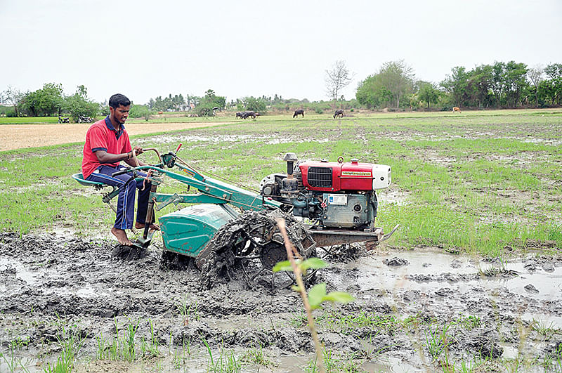 வேளாண்மை