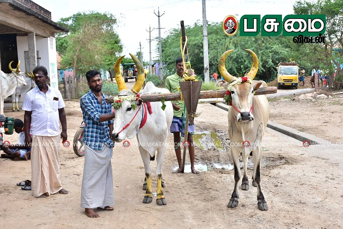 ஏர் மாடுகள்