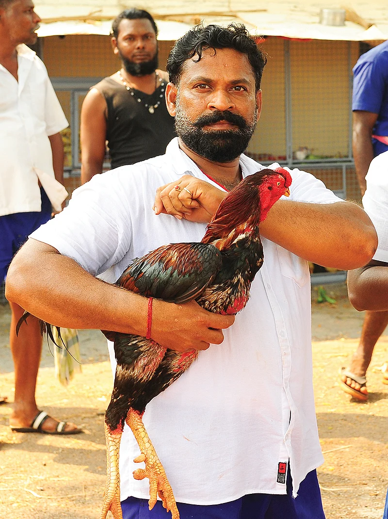 சங்கர்