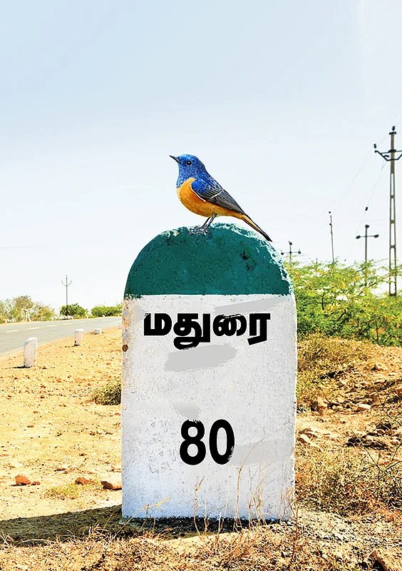 சொல்வனம்