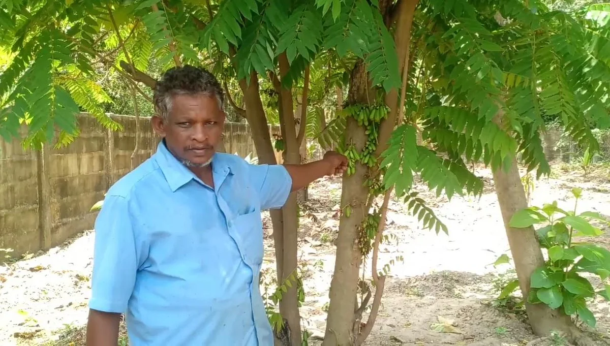 பண்ணையில் பாலகுரு