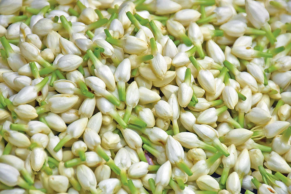 காலையில் மதுரை, மாலையில் மலேசியா... உலகம் முழுவதும் மணக்கும் மதுரை மல்லி!