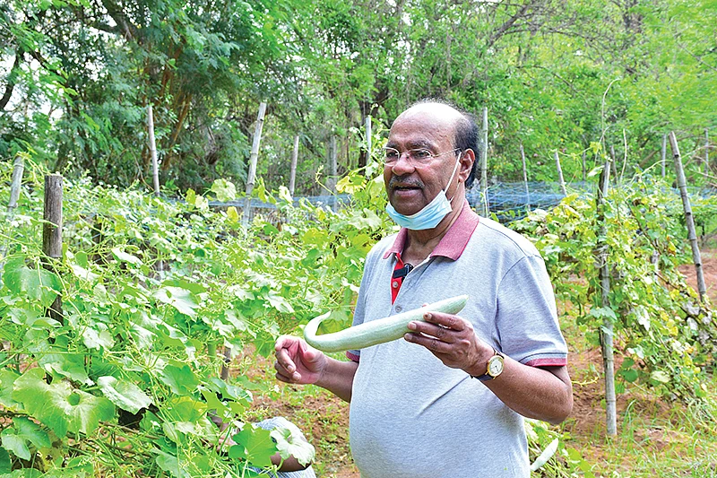 தோட்டத்தில் மருத்துவர் ராமதாஸ்