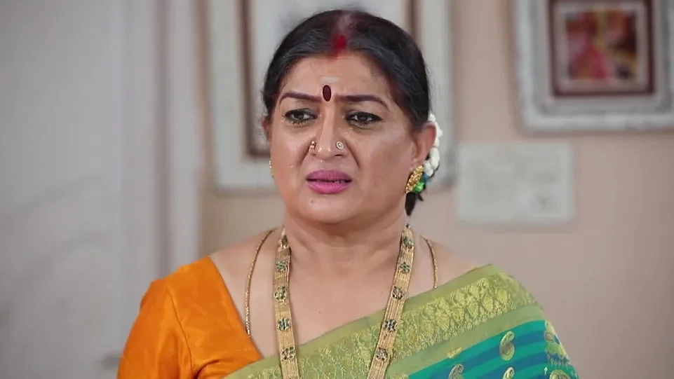 வீணா