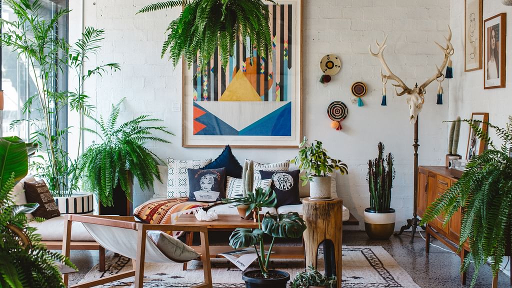 Indoor plants