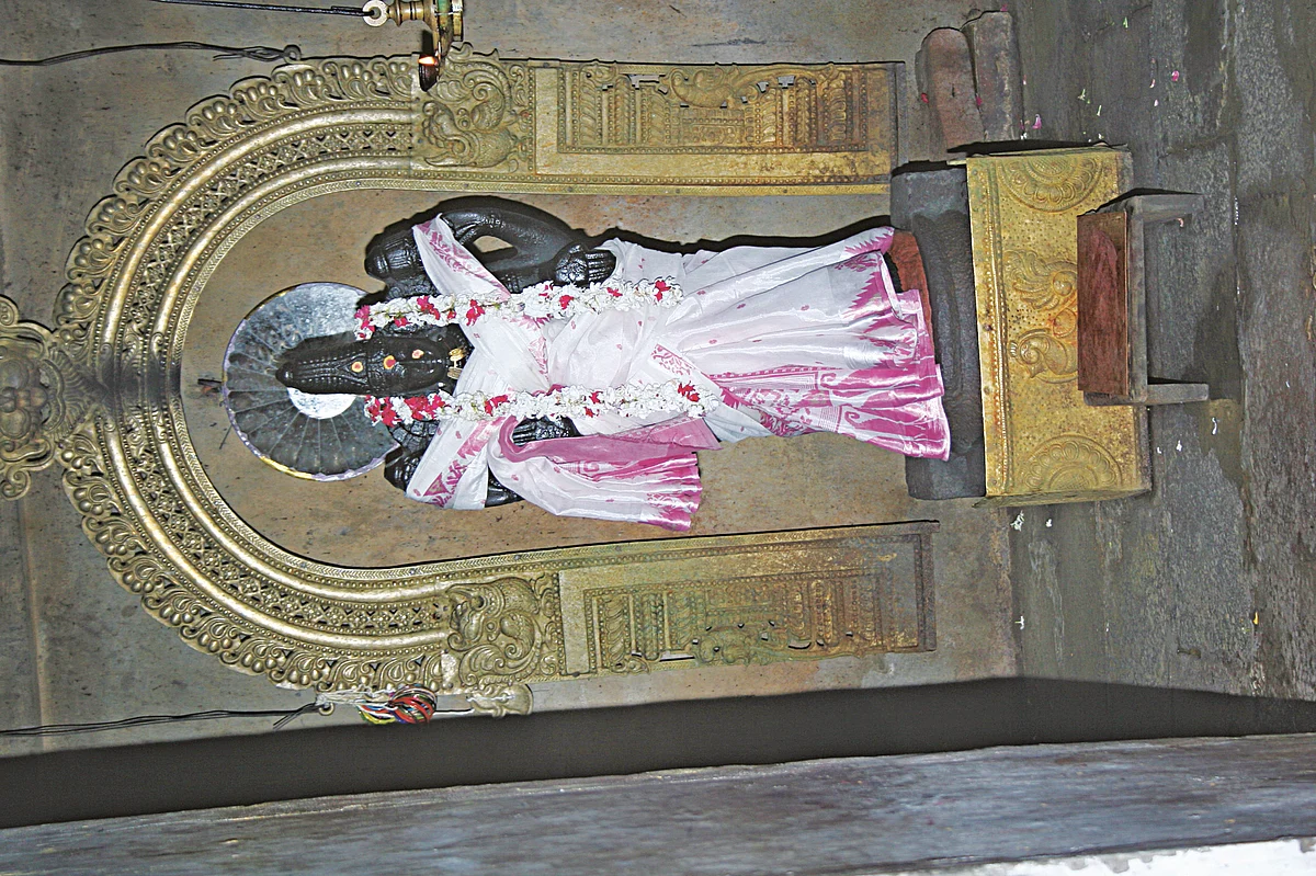அழகுசடை முடியம்மை