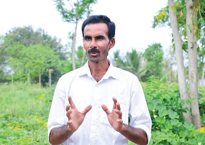 வெண்டை சாகுபடி வயலில் நாகராஜன்