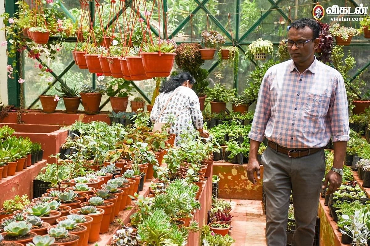 உதவி இயக்குநர் ராதாகிருஷ்ணன்