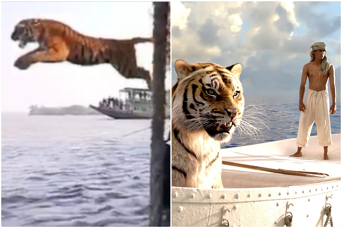 `இது அதுல்ல' - நதியில் பாய்ந்து நீந்தும் புலி வைரலாகும் வீடியோ; நெட்டிசன்களின் கமென்ட்!|Video