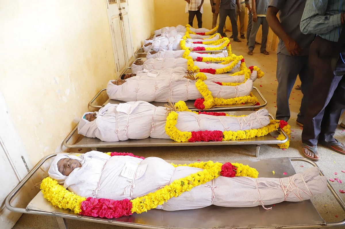 இறந்தவர்களின் உடல்கள்