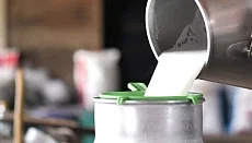 பால்