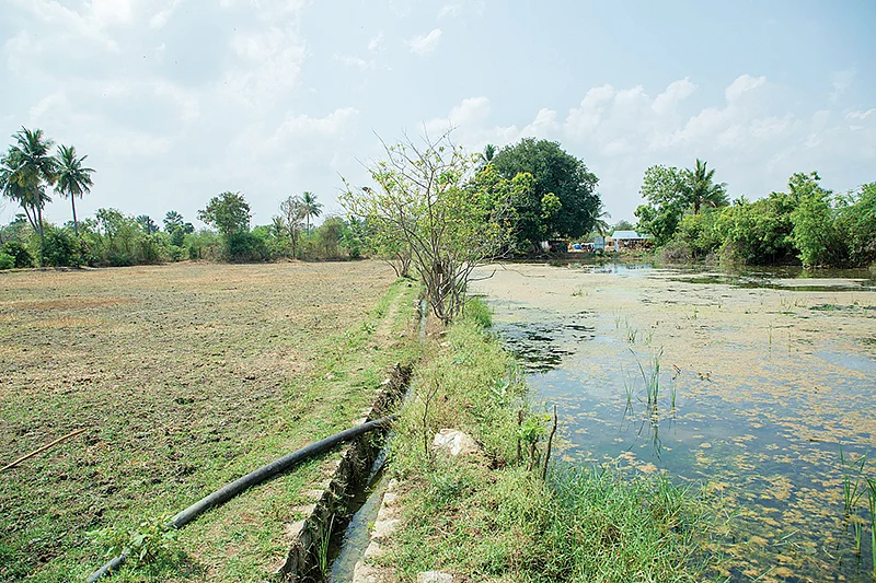 மீன்குளம்