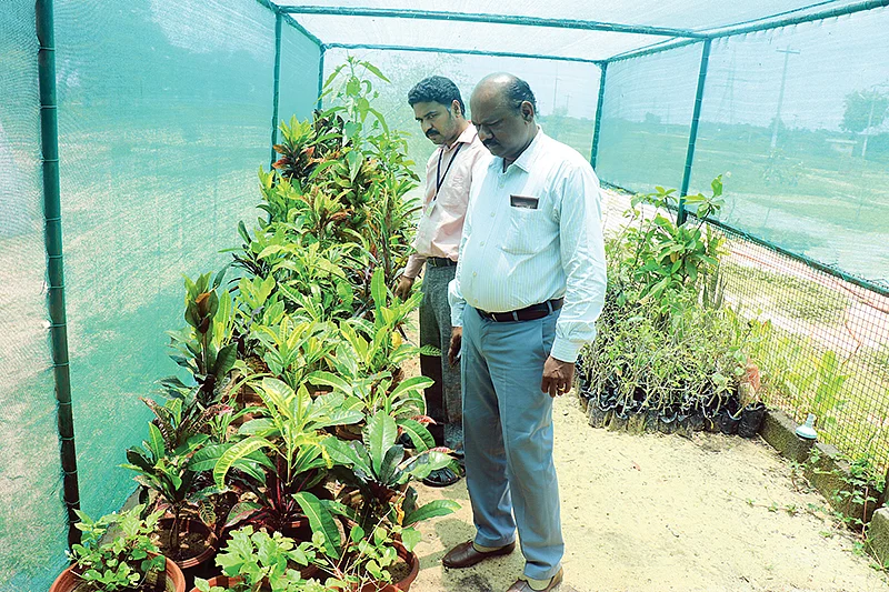 ராகவன் - பாலசுப்பிரமணியன்