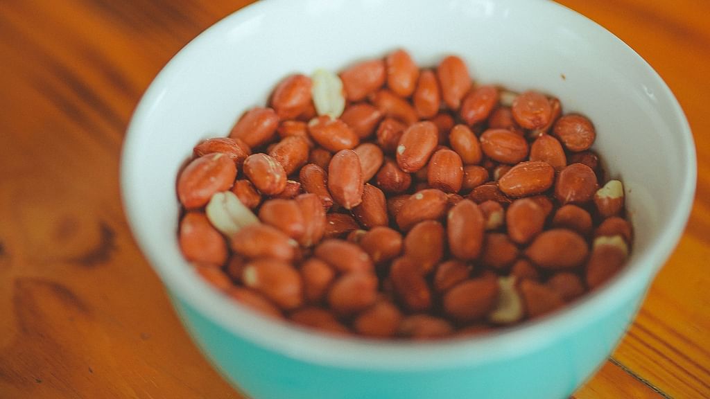 Groundnut