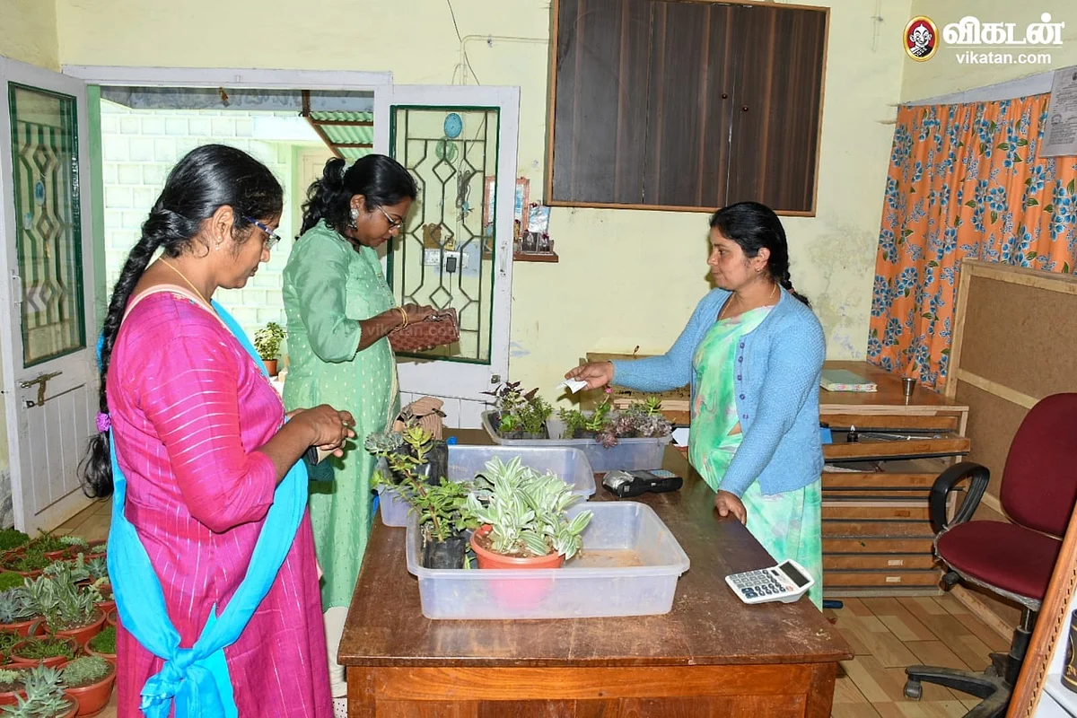 மலர் நாற்றுகள்