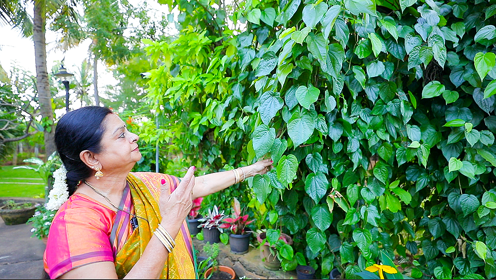 பண்ணை வீடு, கொடைக்கானல் தோட்டம், ஜெமினி நினைவுகள்...